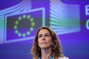 Mercosur, l&rsquo;Italia &egrave; pronta a dire s&igrave;
La Francia rimane isolata
