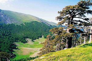 Il Pollino amplia l&rsquo;organico