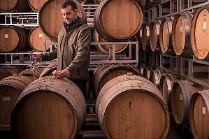 Franciacorta-Bper, intesa per sostenere il Consorzio