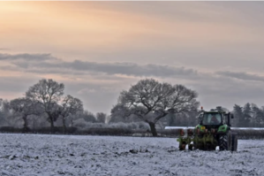 Benvenuto gelo polare: aiuta la salute di piante ed economia