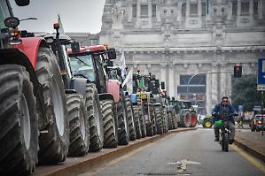 Latte dall'estero e consumi in calo. Gi&ugrave; il prezzo, allevatori in allarme