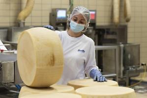 Parmigiano Reggiano, il re dei formaggi. Prezzi in ascesa, domanda interna gi&ugrave;, ma export al 53%