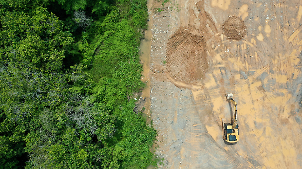 Deforestazione Ue, &egrave; rinvio. Dalle imprese applausi e dubbi 