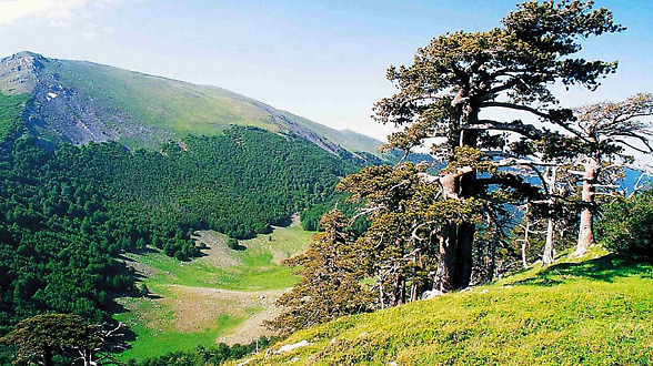 Il Pollino amplia l&rsquo;organico