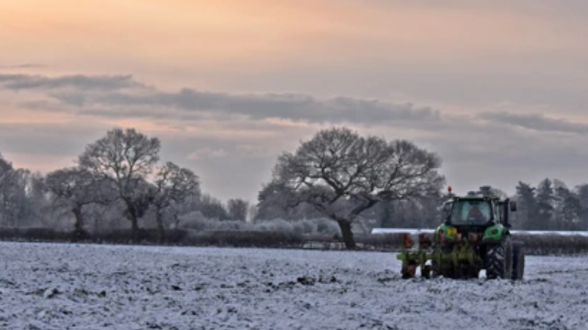 Benvenuto gelo polare: aiuta la salute di piante ed economia