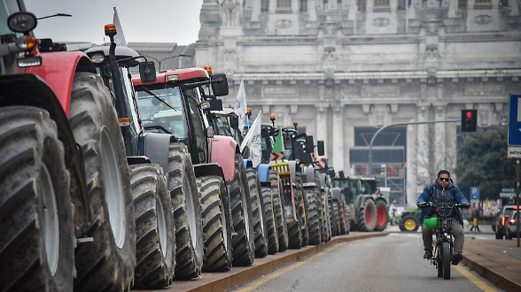 Latte dall'estero e consumi in calo. Gi&ugrave; il prezzo, allevatori in allarme